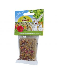 Jr Farm Knaagsteen Leem Met Bloemen - Supplement - 3.5 x 9 x 15 cm 100 g