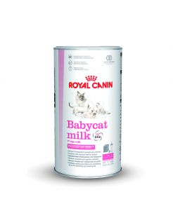Kattenvoer Melk kopen