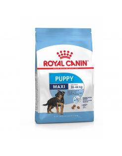Royal Canin Maxi Puppy - Puppy-Hondenvoer