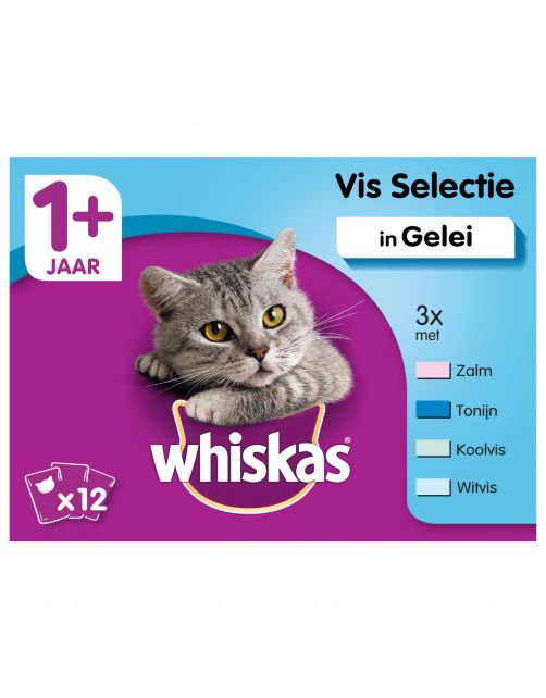 Whiskas 1+ Vis In Gelei Maaltijdzakjess - Kattenvoer - 12x100 g