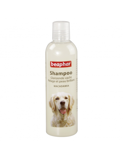 Beaphar Shampoo Glanzende Vacht Hond - Hondenvachtverzorging - 250 ml