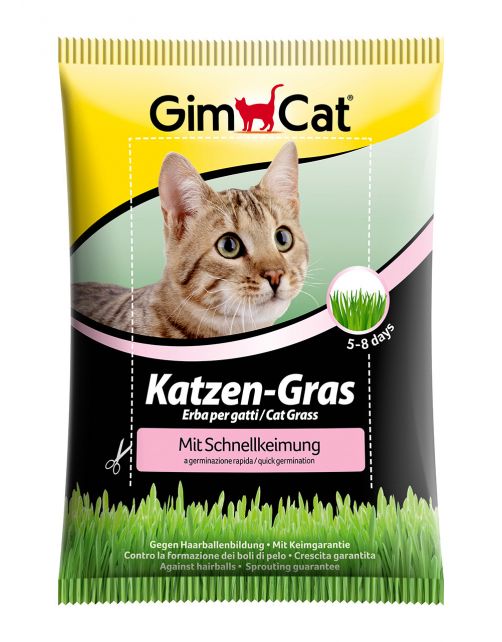 Gimcat Kattengras Met Snelkiemzak - Kattensnack - 100 g