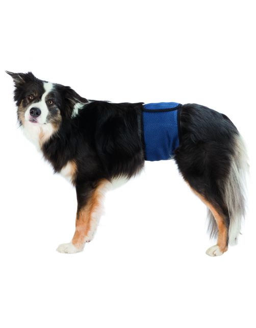 Trixie Incontinentie Plasband Voor Reuen Donkerblauw - Hondenhulpmiddelen