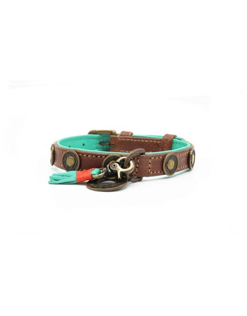 Dwam Halsband Urban Bruin&Turquoise - Hondenhalsband