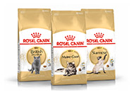 royal canin kattenvoer